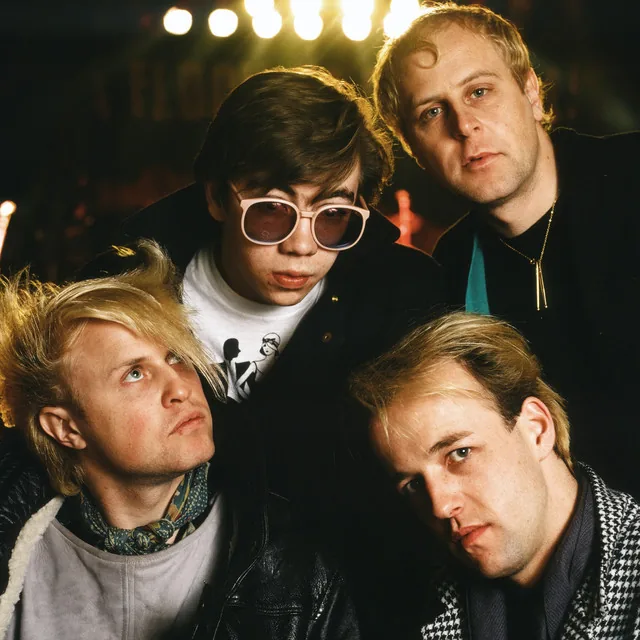 A Flock of Seagulls