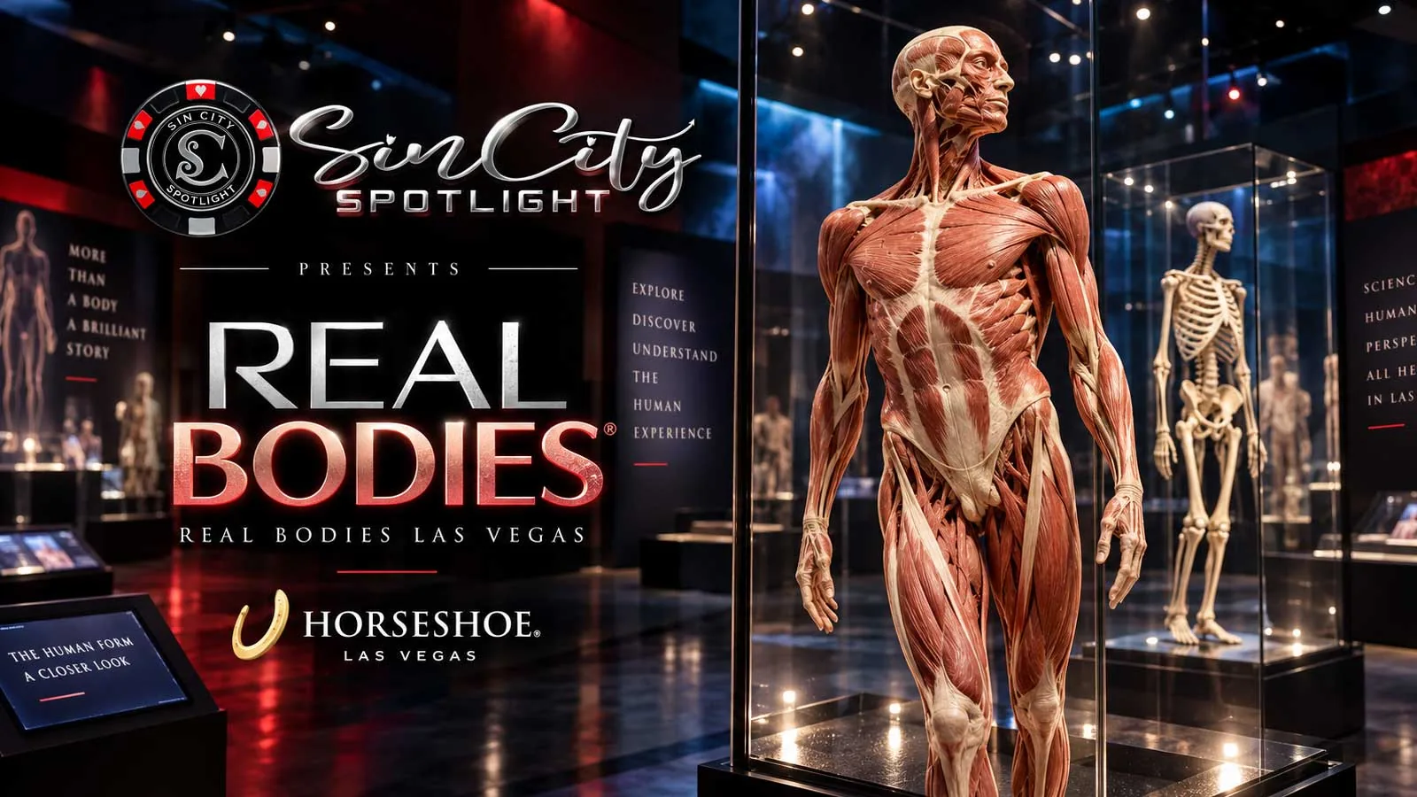 Real Bodies