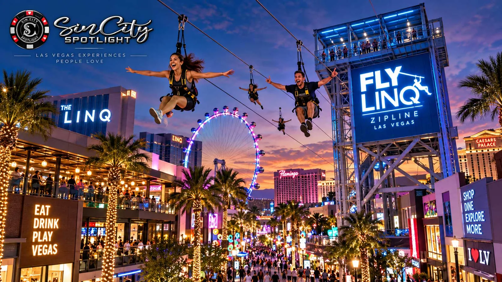Fly LINQ Zipline