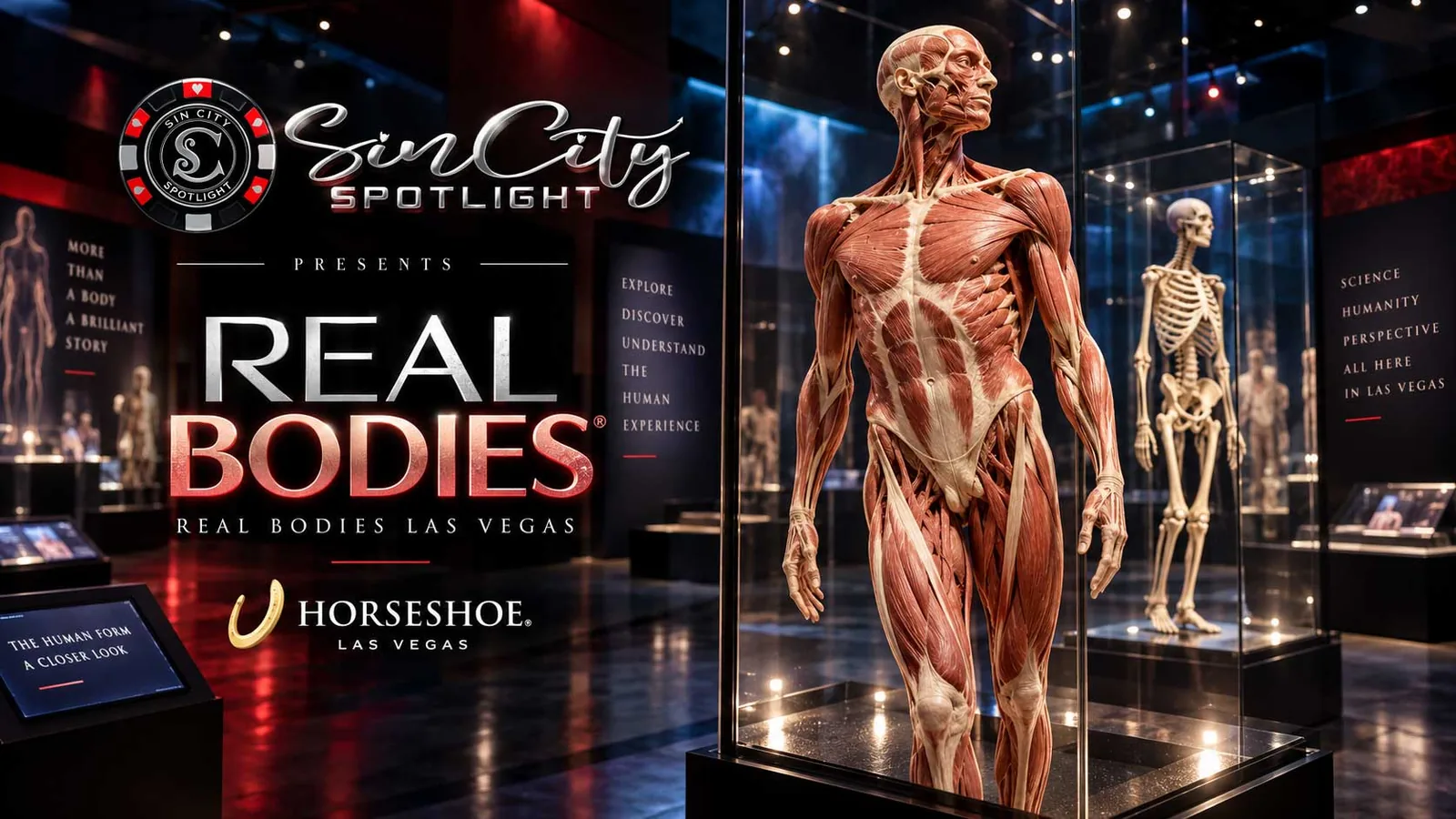 Real Bodies