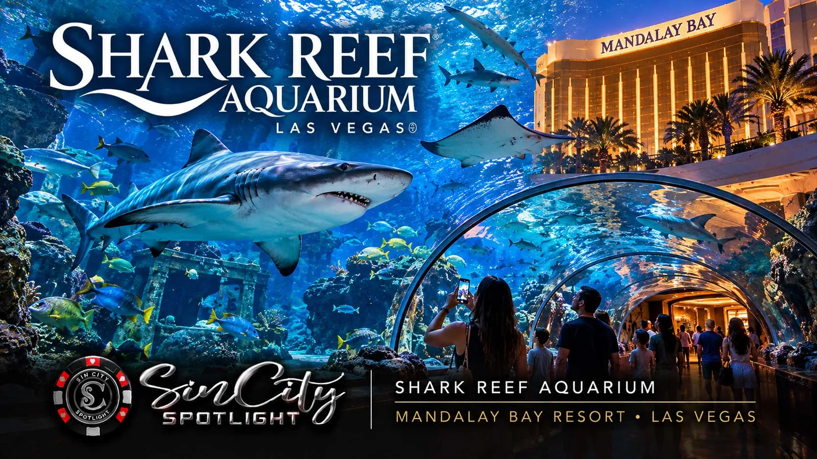 Shark Reef Aquarium