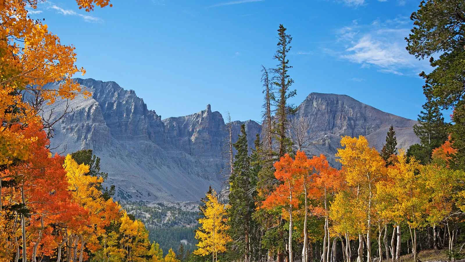 Great Basin Institute at Las Vegas