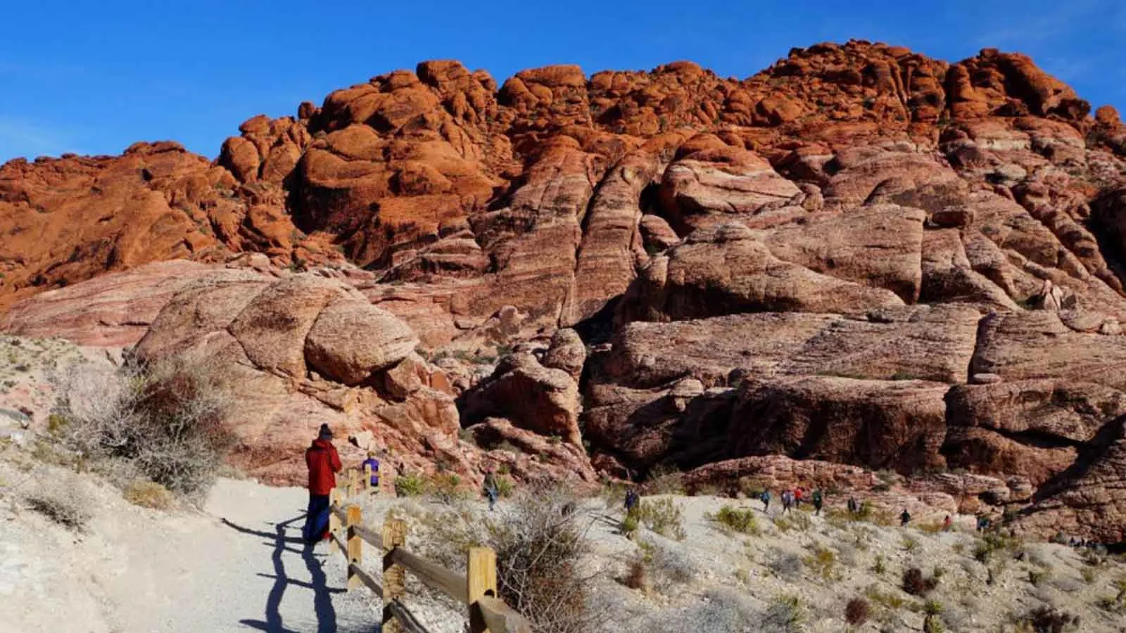 Red Rock Canyon Interpretive Association