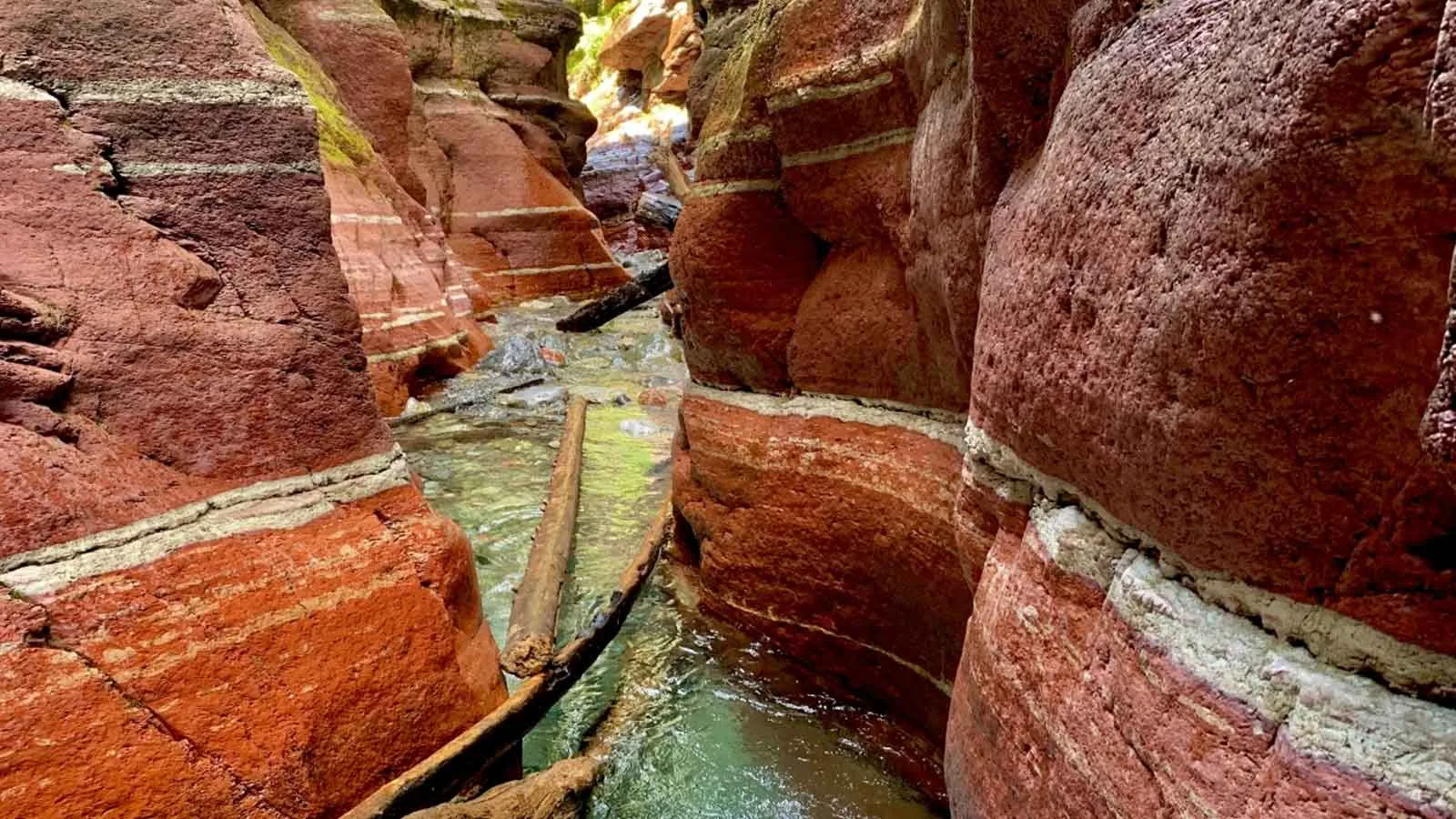 Red Rock Canyon National Conservation Area