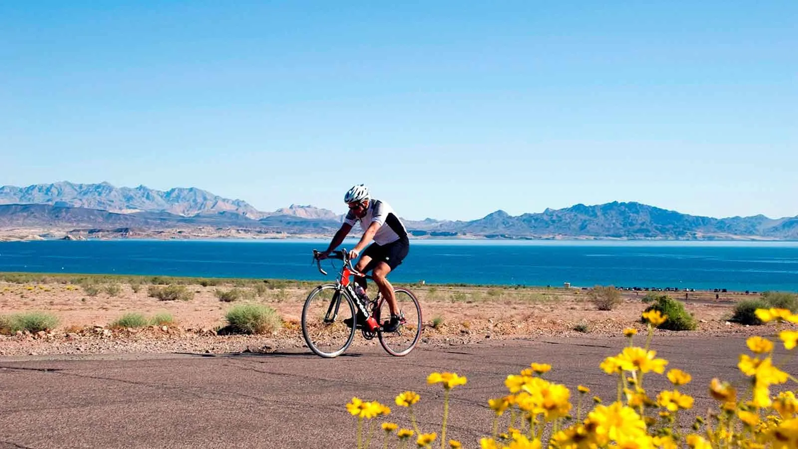 River Mountains Loop Trail