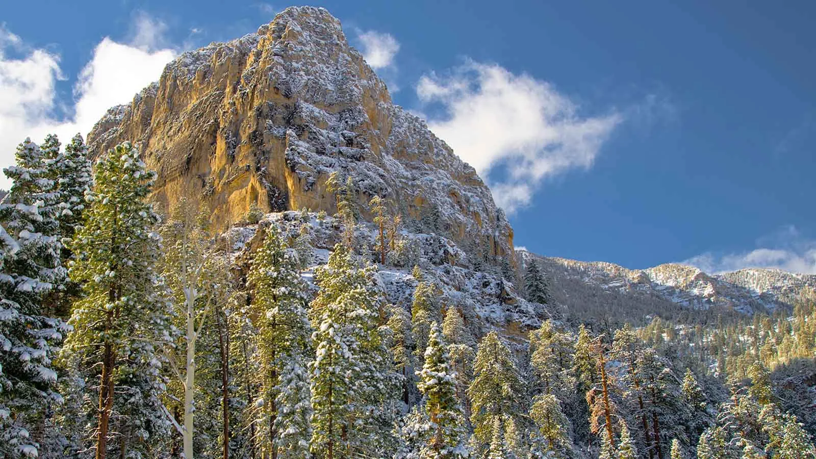 Spring Mountains National Recreation Area