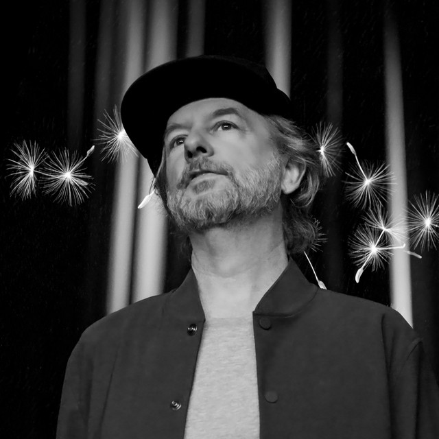 David Spade
