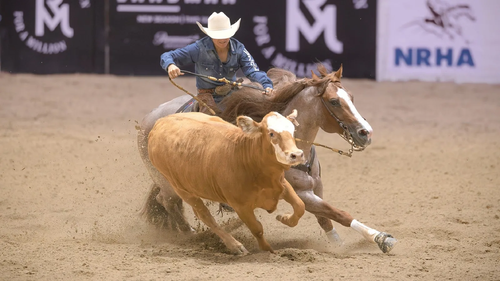 The Run for a Million Cow Horse Challenge
