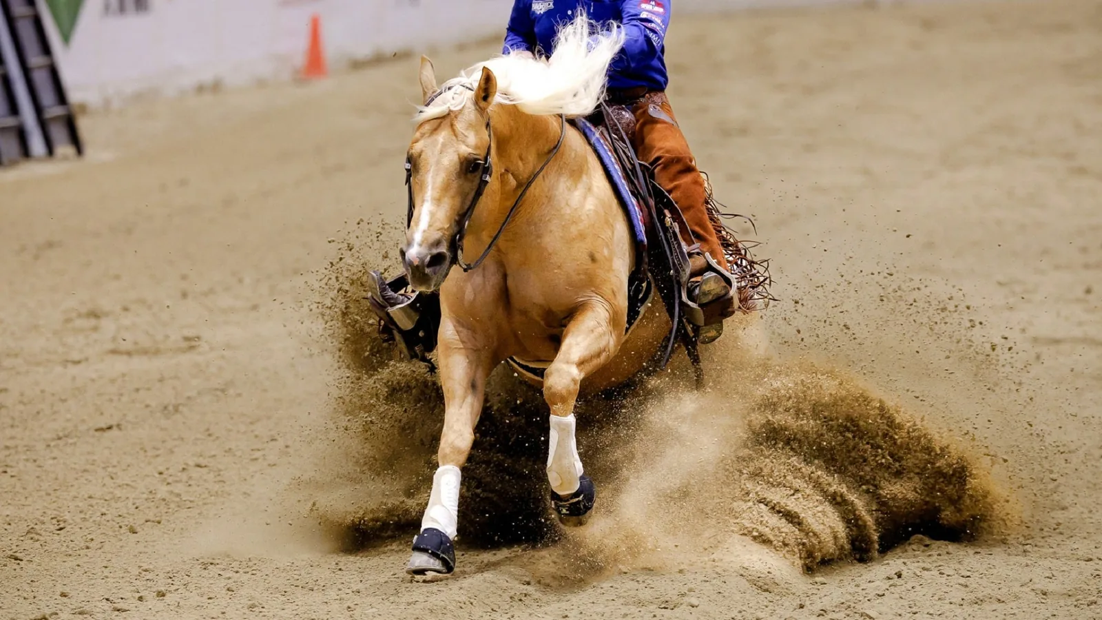 The Run for a Million Reining Challenge