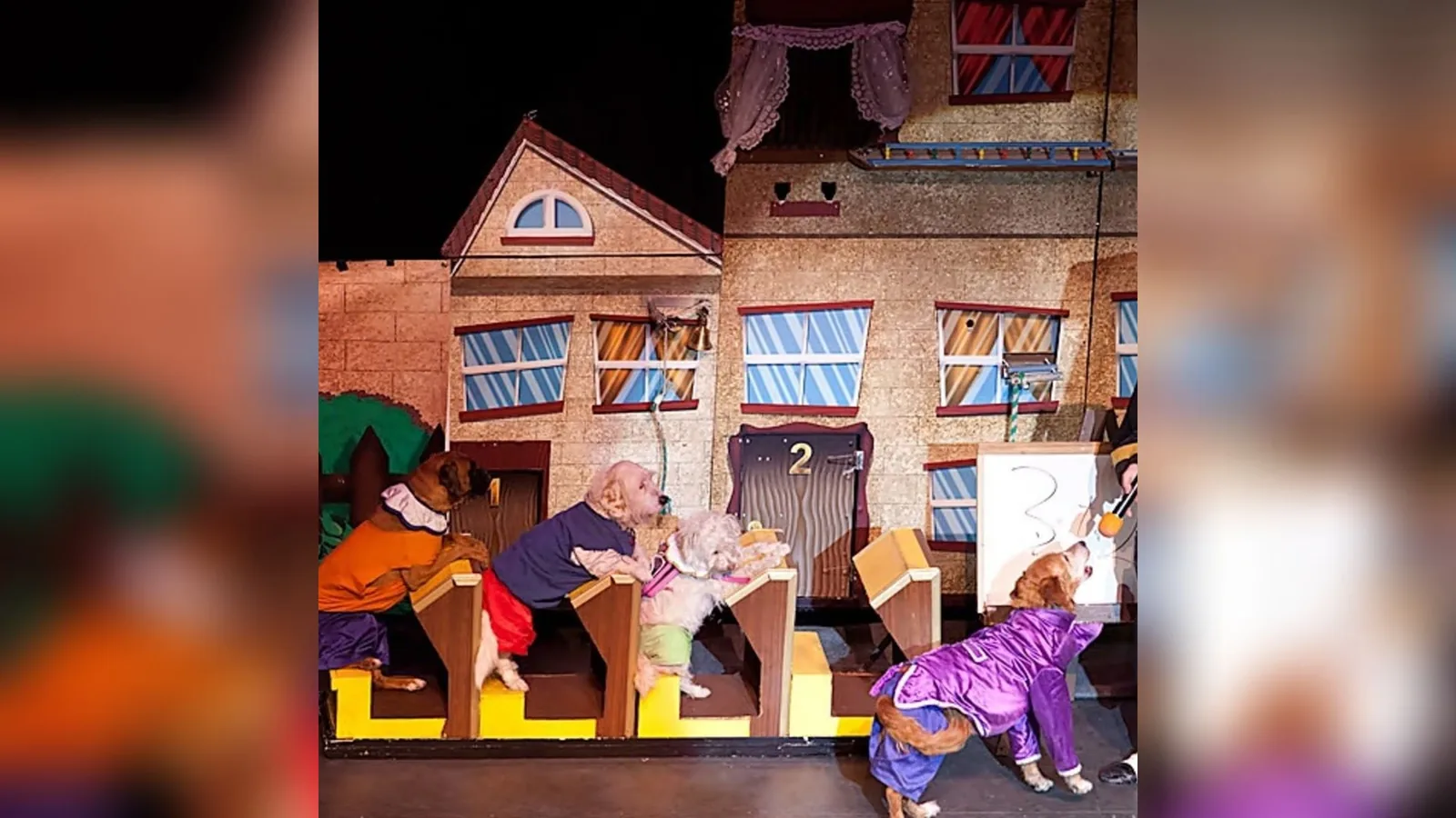 Popovich Comedy Pet Theater