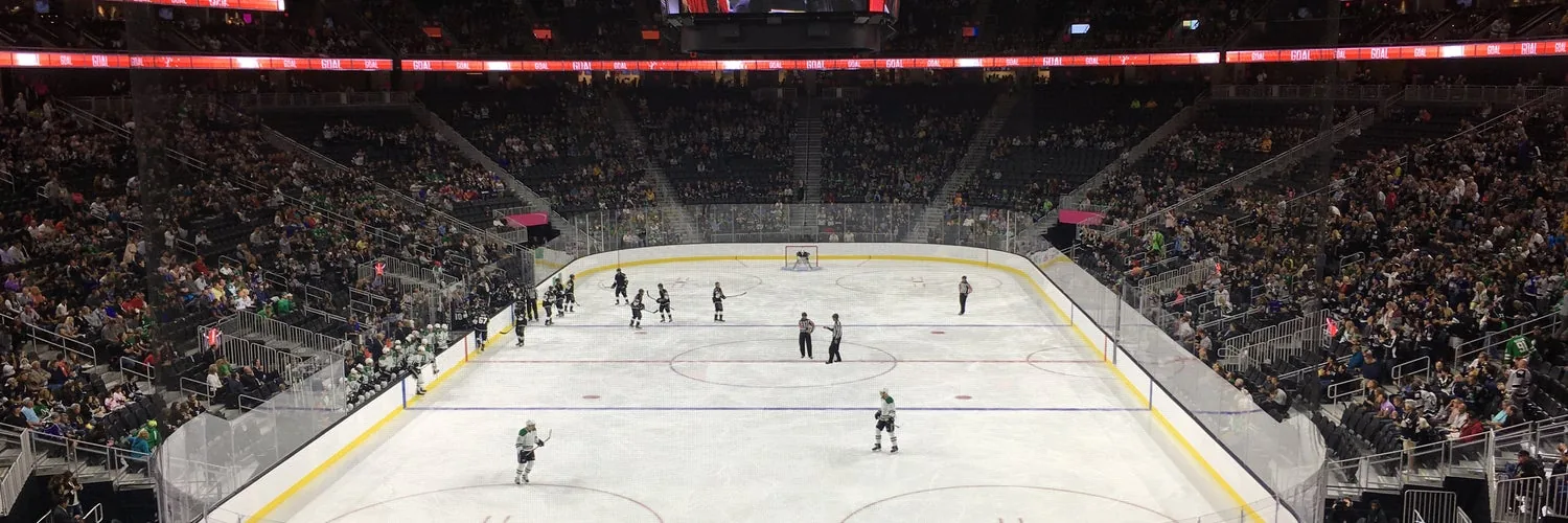 Anaheim Ducks at Vegas Golden Knights - Western Conference Second Round (Game 5, Home Game 3)