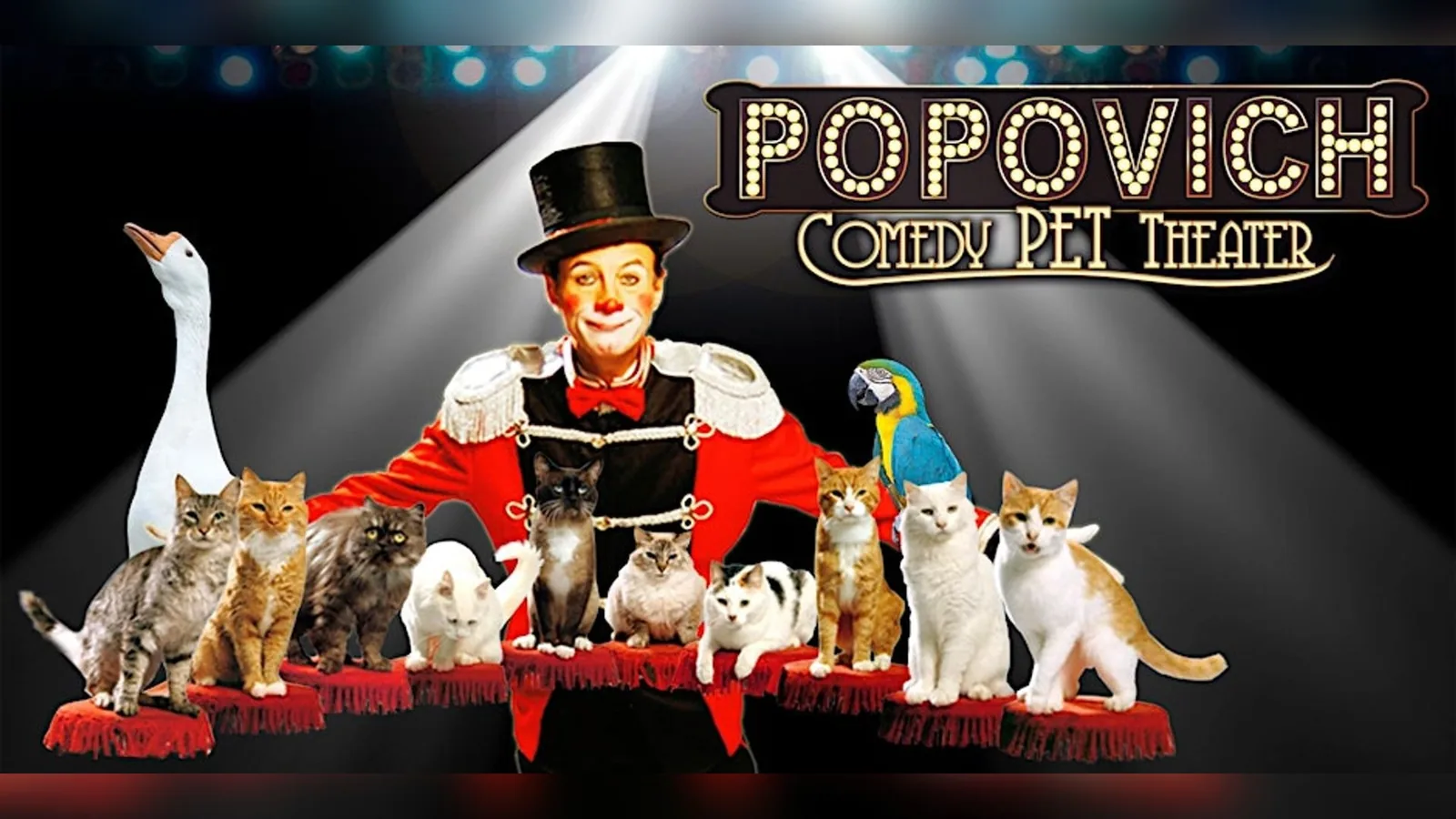 Popovich Comedy Pet Theater