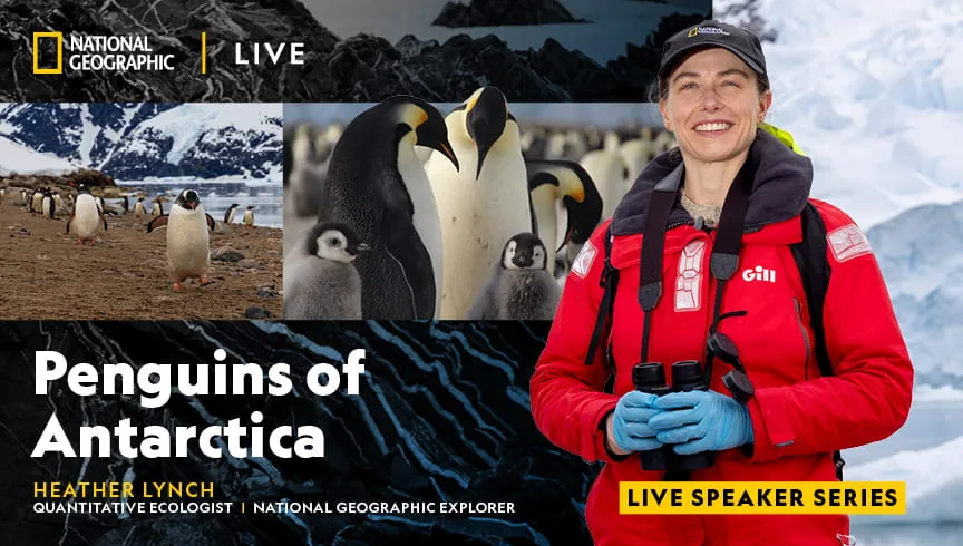 National Geographic Live: Dr. Heather Lynch “Penguins of Antarctica”