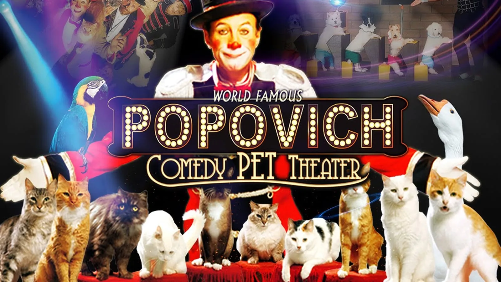Popovich Comedy Pet Theater