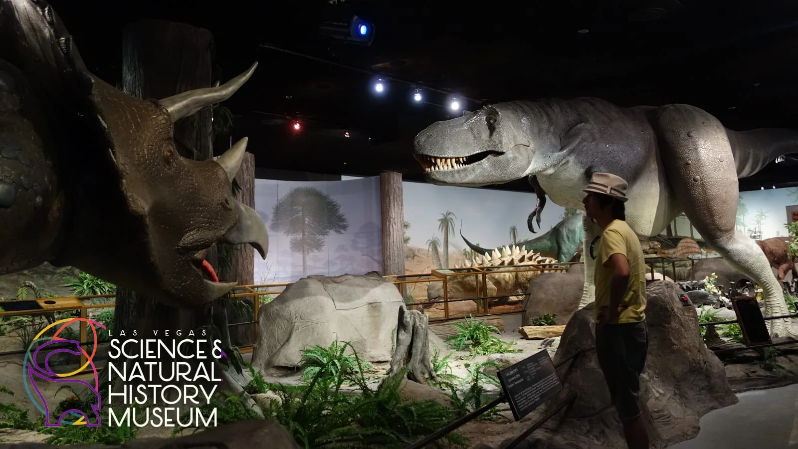 Las Vegas Science & Natural History Museum