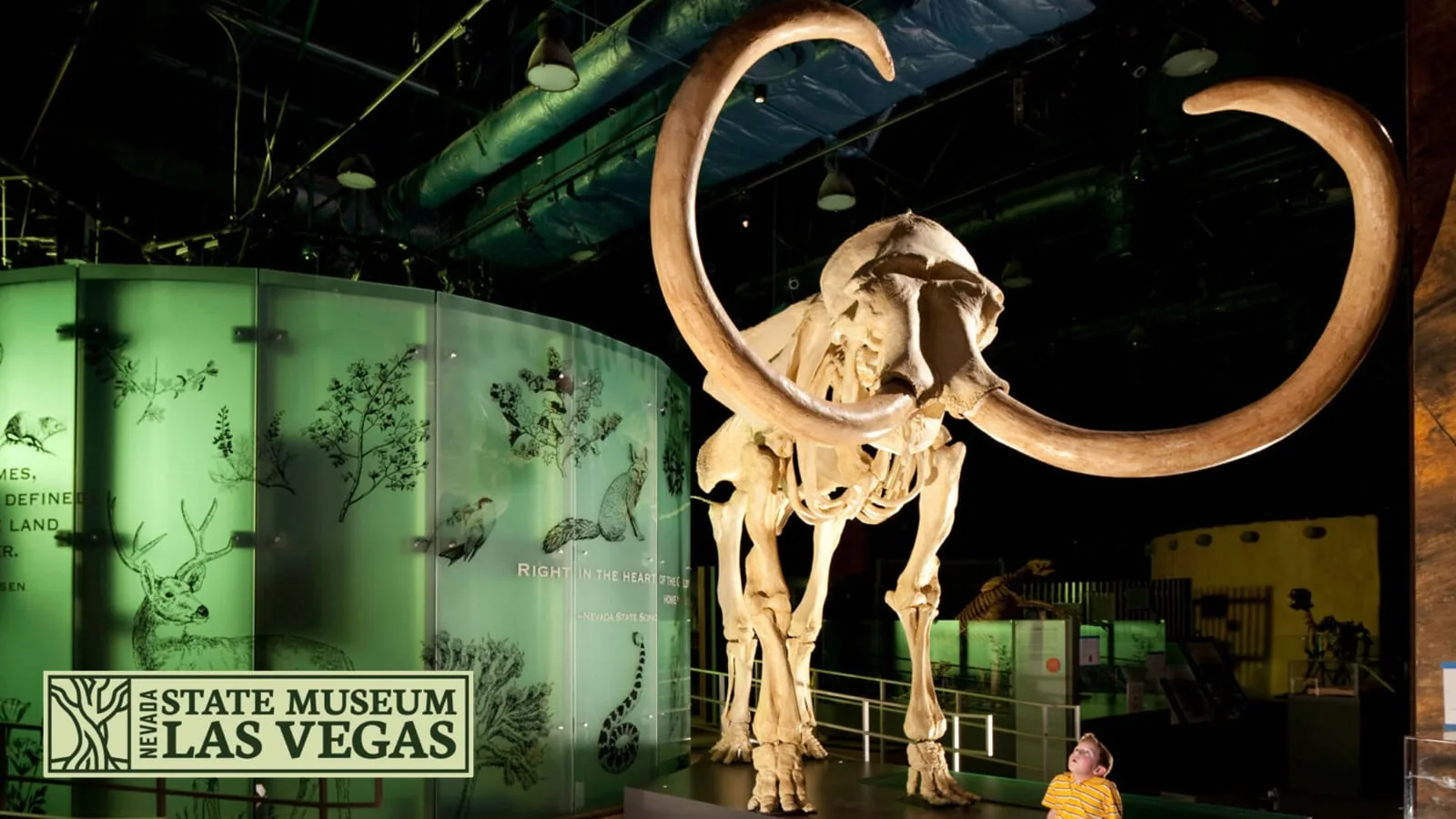 Nevada State Museum, Las Vegas