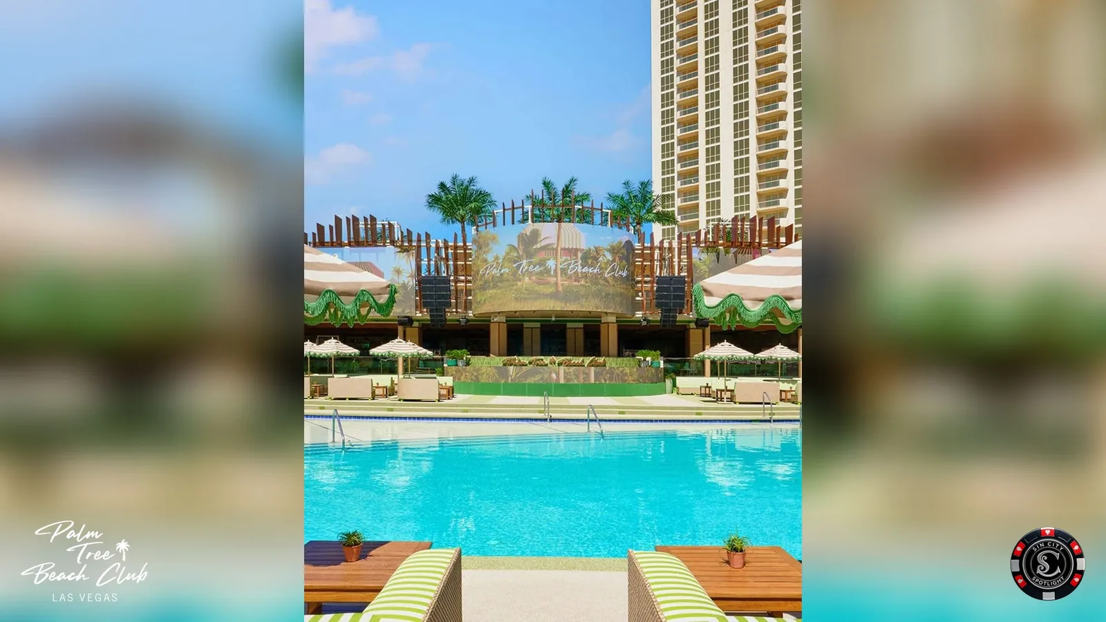 Palm Tree Beach Club Saturday at Palm Tree Beach Club
